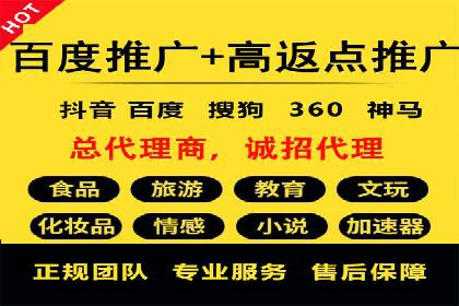 XX行业竞价广告的投放策略与效果分析